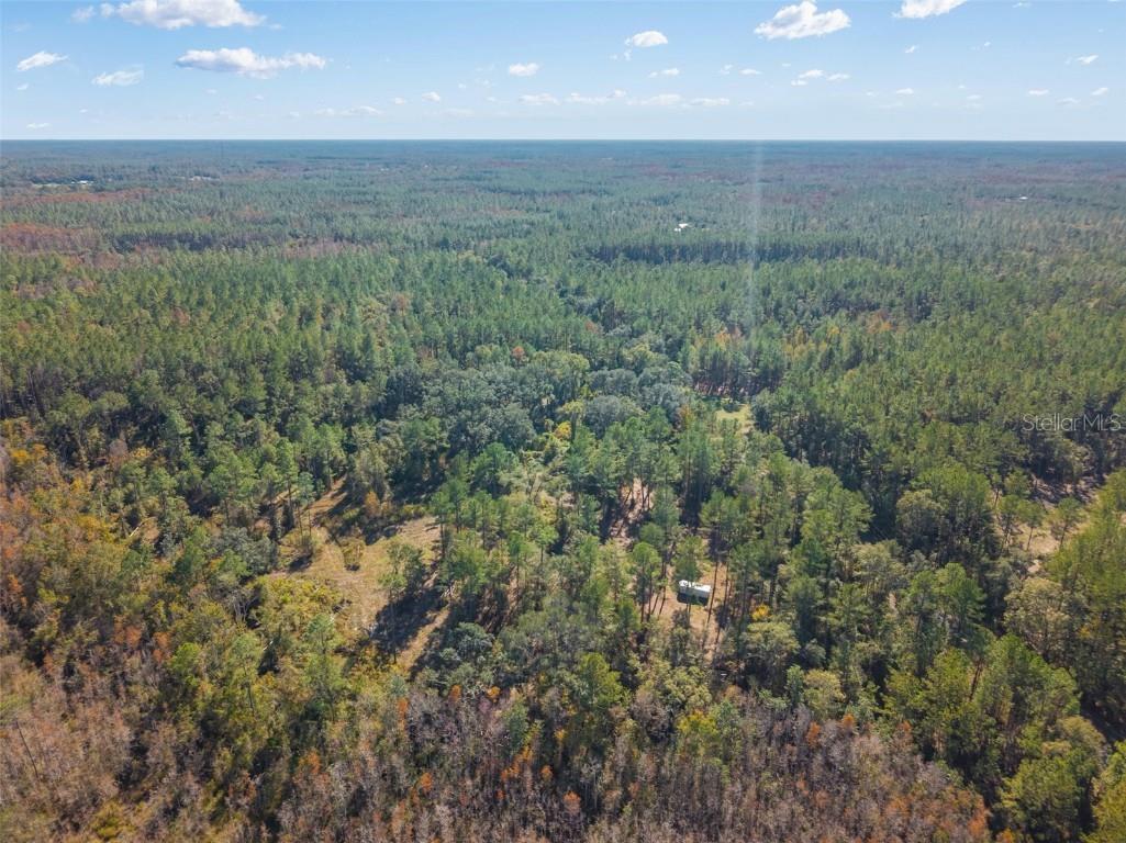 Sw Paradise Way Sw Greenville FL 32331 TB8442555 image13