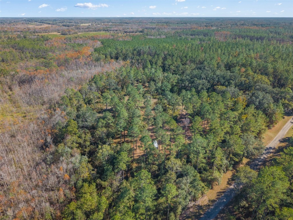 Sw Paradise Way Sw Greenville FL 32331 TB8442555 image14