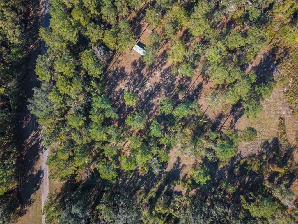 Sw Paradise Way Sw Greenville FL 32331 TB8442555 image15