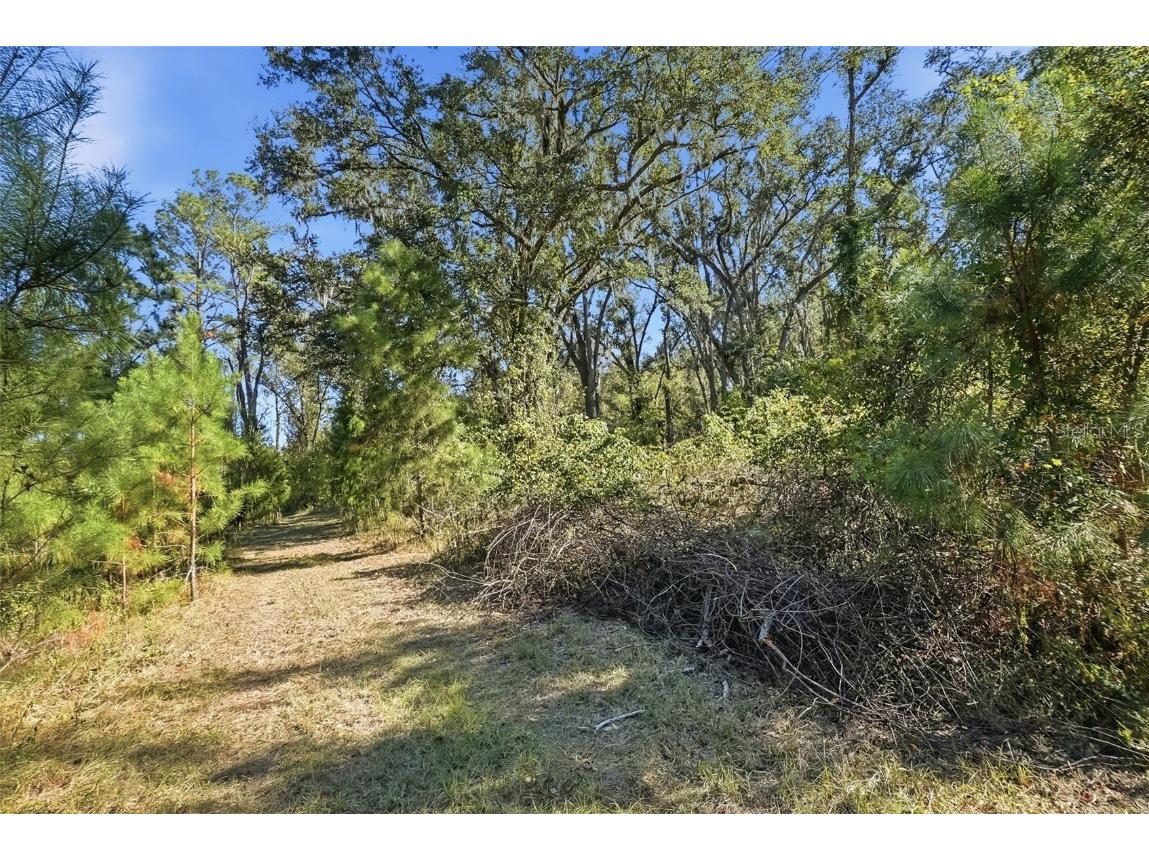 Sw Paradise Way Sw Greenville FL 32331 TB8442555 image2