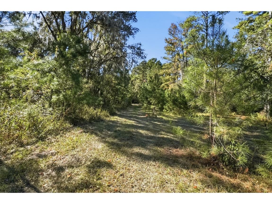 Sw Paradise Way Sw Greenville FL 32331 TB8442555 image3