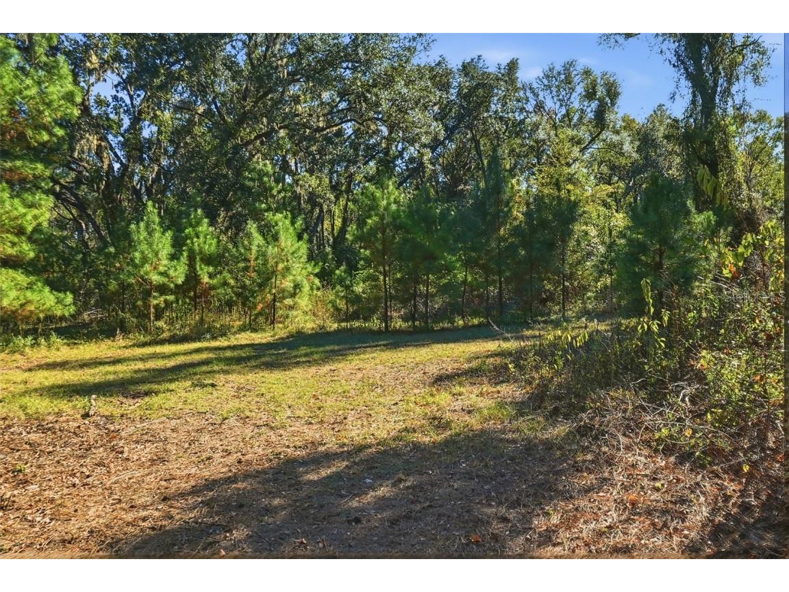 Sw Paradise Way Sw Greenville FL 32331 TB8442555 image4