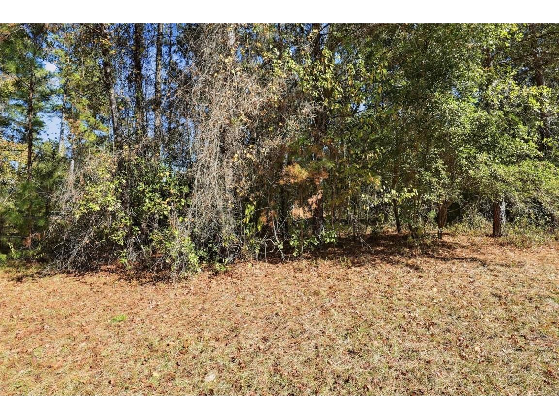 Sw Paradise Way Sw Greenville FL 32331 TB8442555 image6