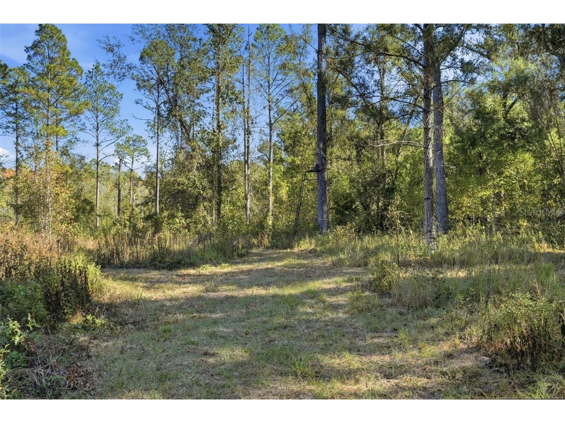 Sw Paradise Way Sw Greenville FL 32331 TB8442555 image7