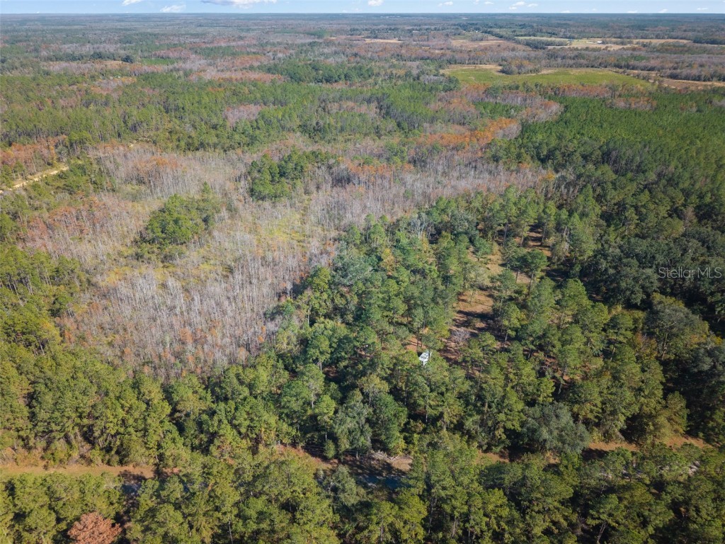 Sw Paradise Way Sw Greenville FL 32331 TB8442555 image9