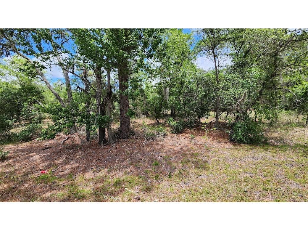 SW Pine Bluff Road Dunnellon FL 34431 OM659447 image1