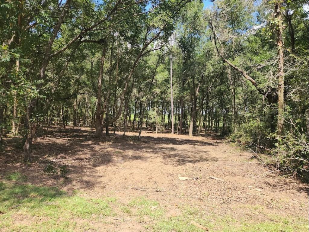 SW Pine Bluffs Road Dunnellon FL 34431 OM687410 image1