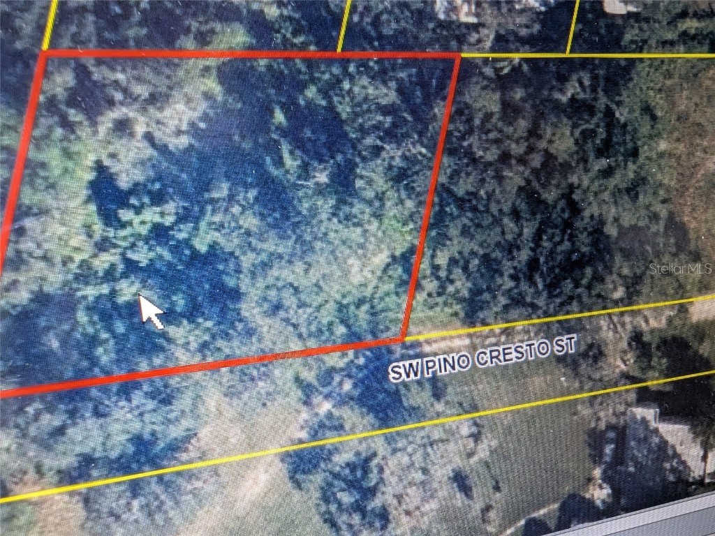 SW Pino Cresto Street Arcadia FL 34266 C7511050 image1