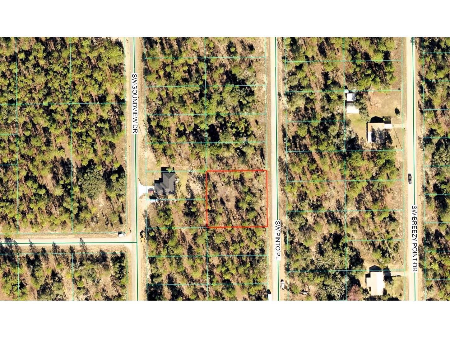 Sw Pinto Pl Dunnellon FL 34431 OM723700 image1