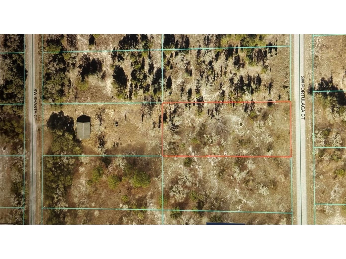 Sw Portulaca Ct Dunnellon FL 34431 OM708654 image1