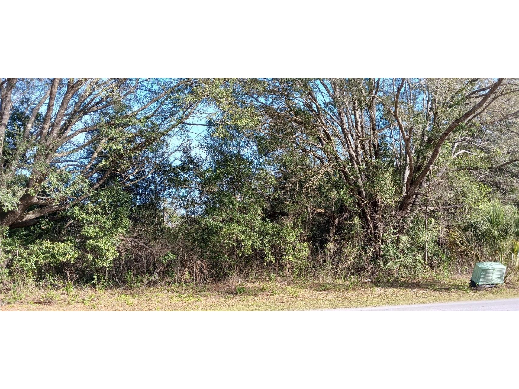 SW Rainbow Lakes Boulevard Dunnellon FL 34431 OM672441 image1