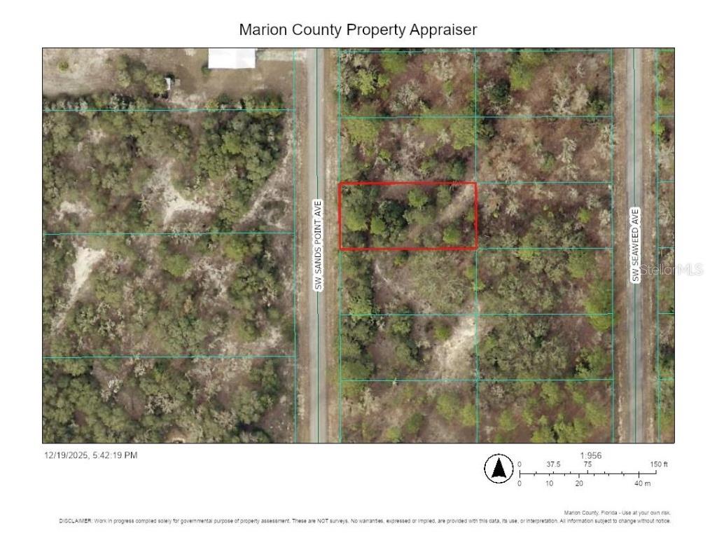 SW Sands Point Avenue Dunnellon FL 34431 TB8458024 image2