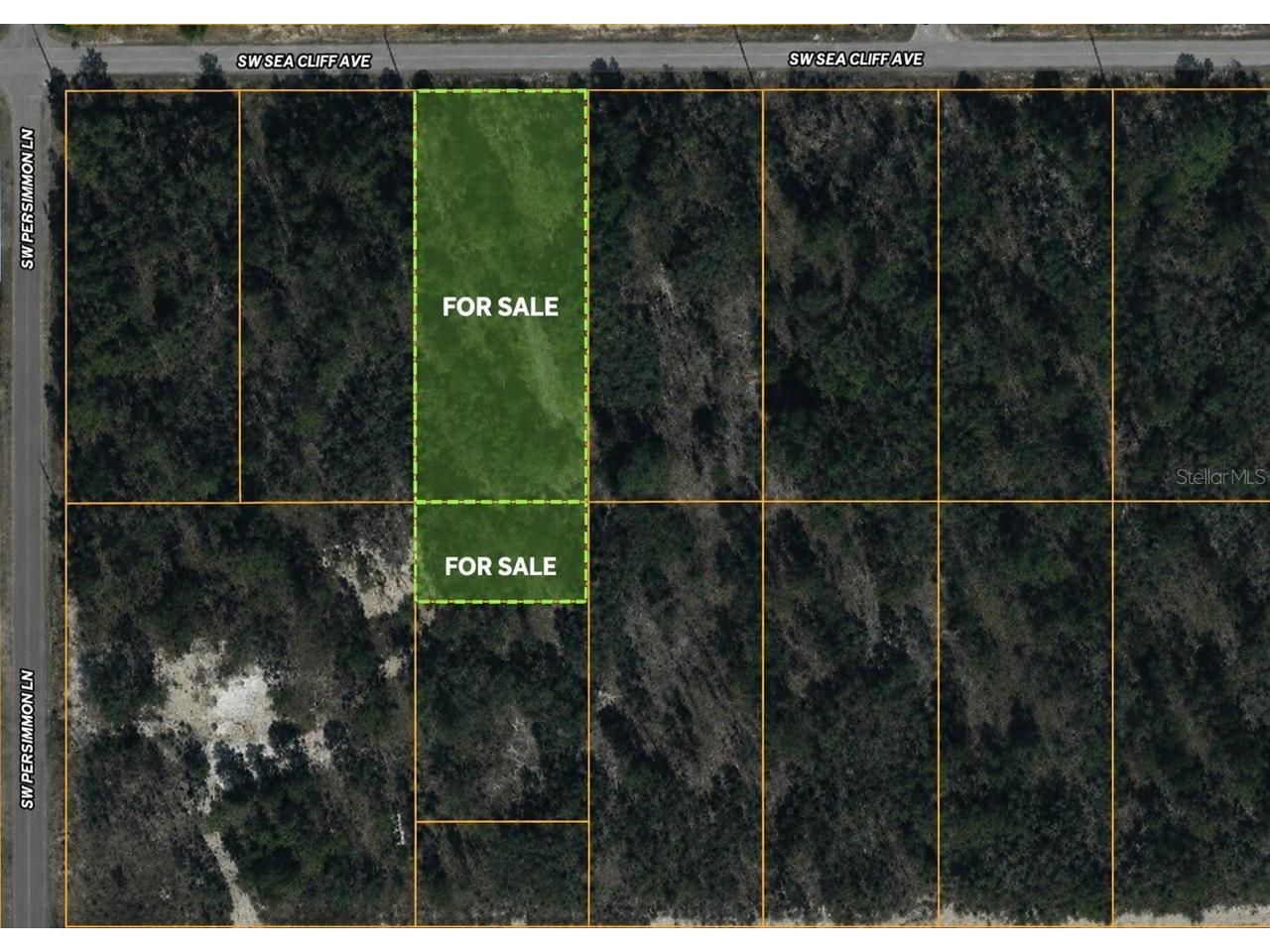 Sw Sea Cliff Ave Dunnellon FL 34431 O6411414 image1