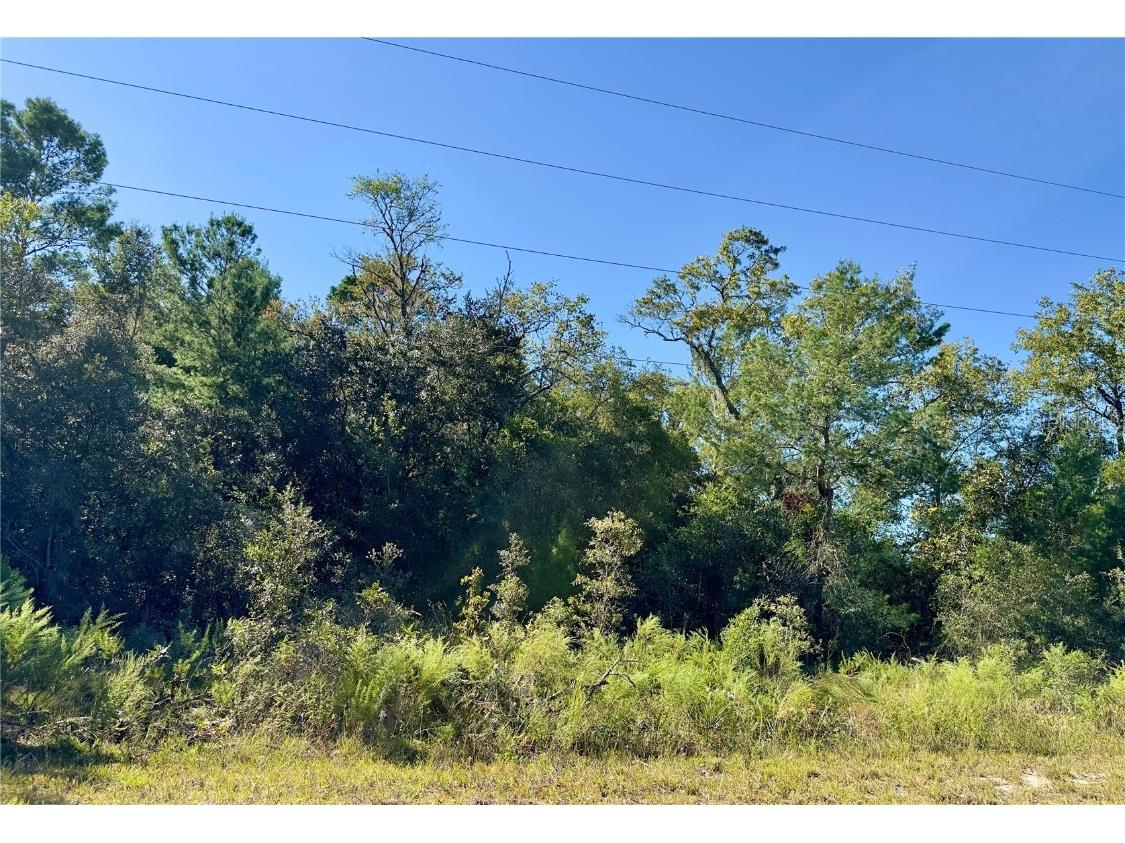 SW Sea Cliff Avenue Dunnellon FL 34431 OM666359 image1