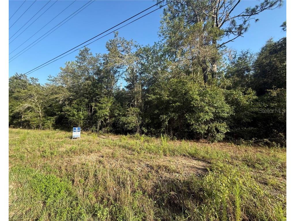 SW Sea Cliff Avenue Dunnellon FL 34431 O6328535 image1