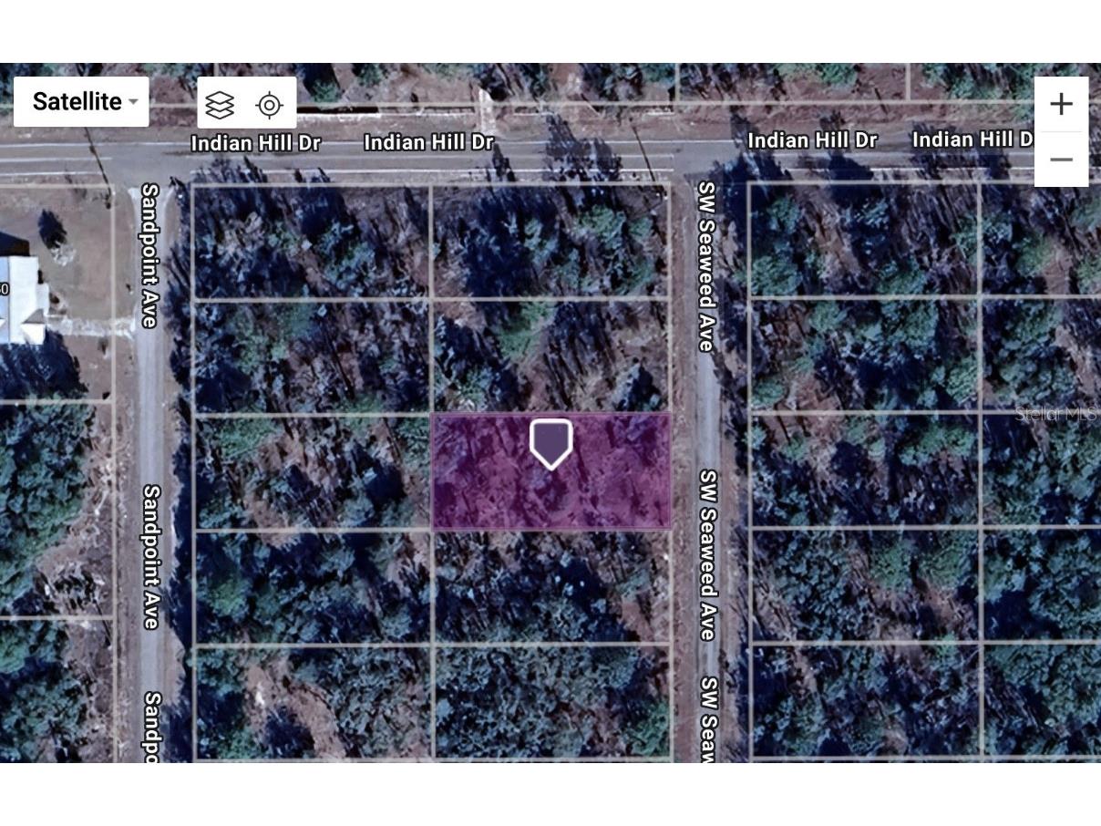 SW Seaweed Avenue Dunnellon FL 34431 TB8436933 image1