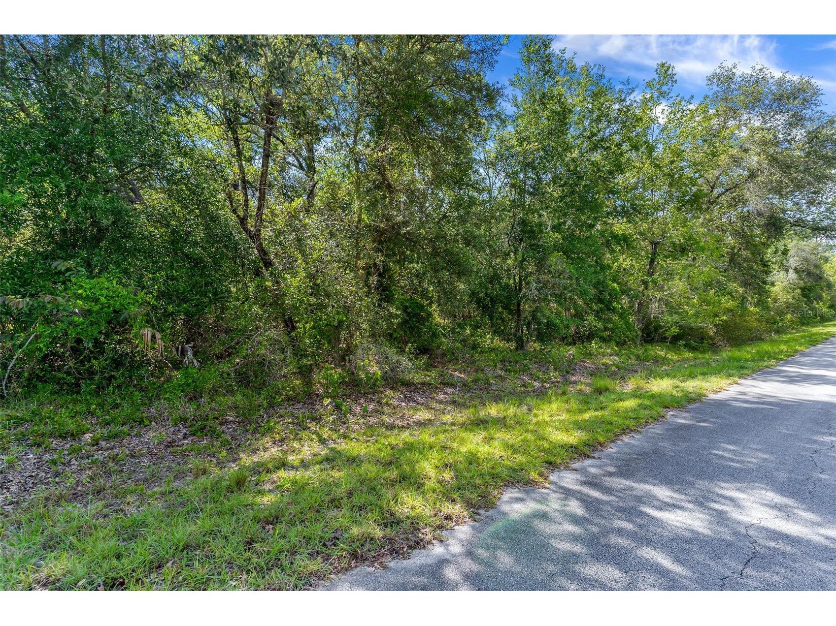 SW Shasta Court Dunnellon FL 34431 G5114455 image1