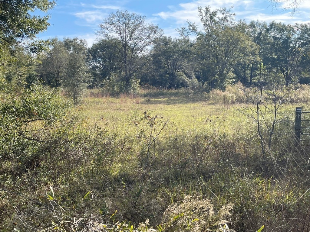 SW Sheppard Way Lake City FL 32024 GC509492 image1