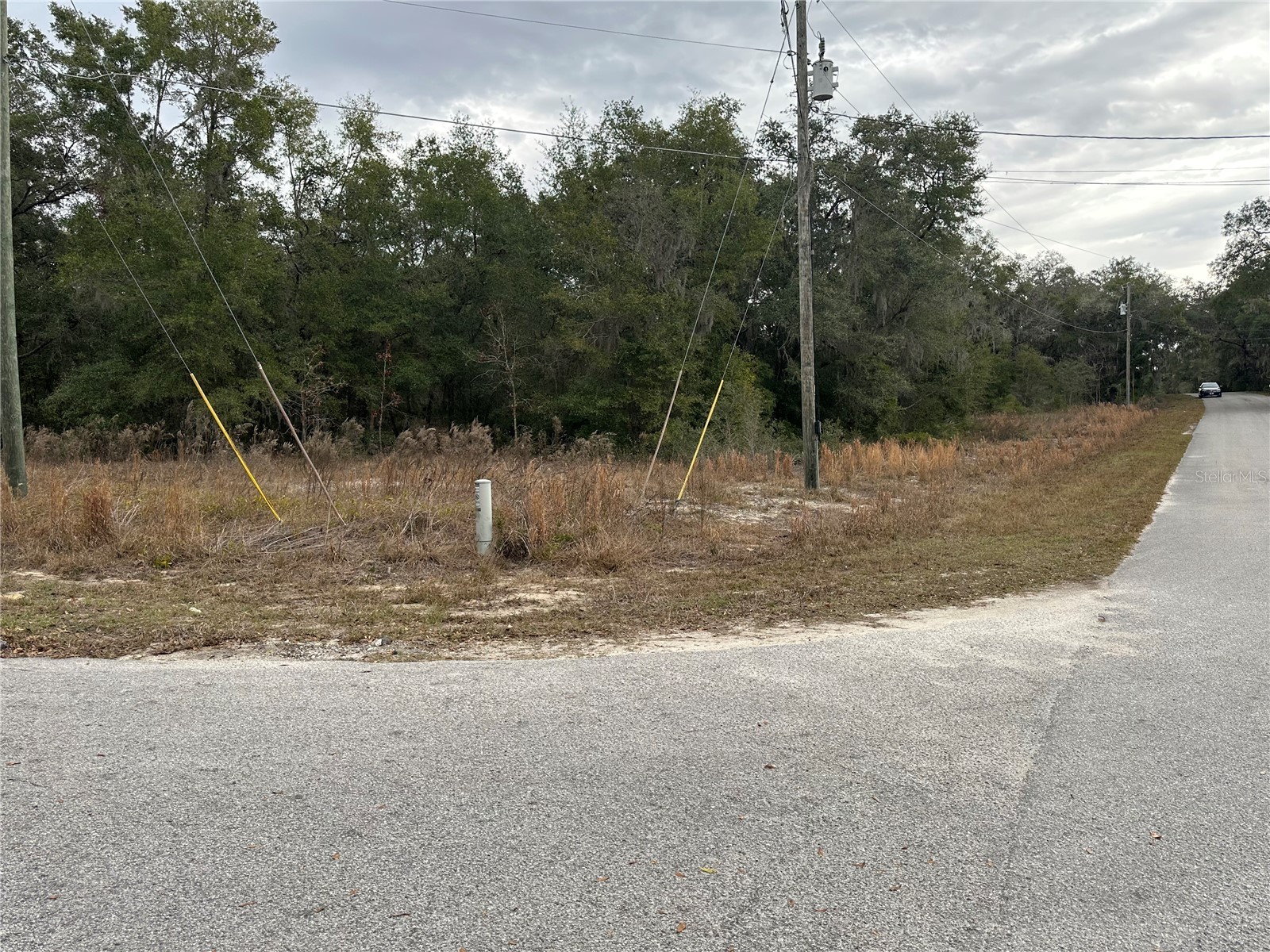 SW Shorewood Drive Dunnellon FL 34431 - TIGER LAKE BONABLE LAKE OM716856 image1