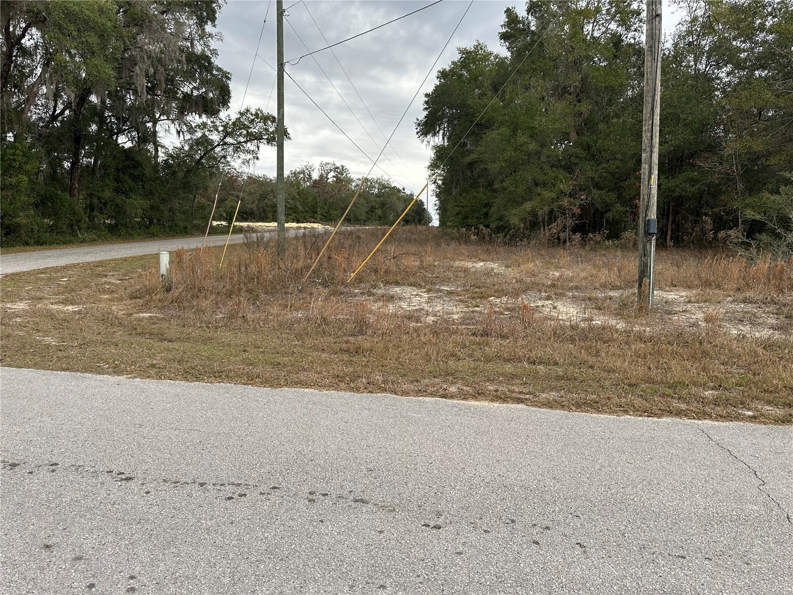 SW Shorewood Drive Dunnellon FL 34431 - TIGER LAKE BONABLE LAKE OM716856 image3