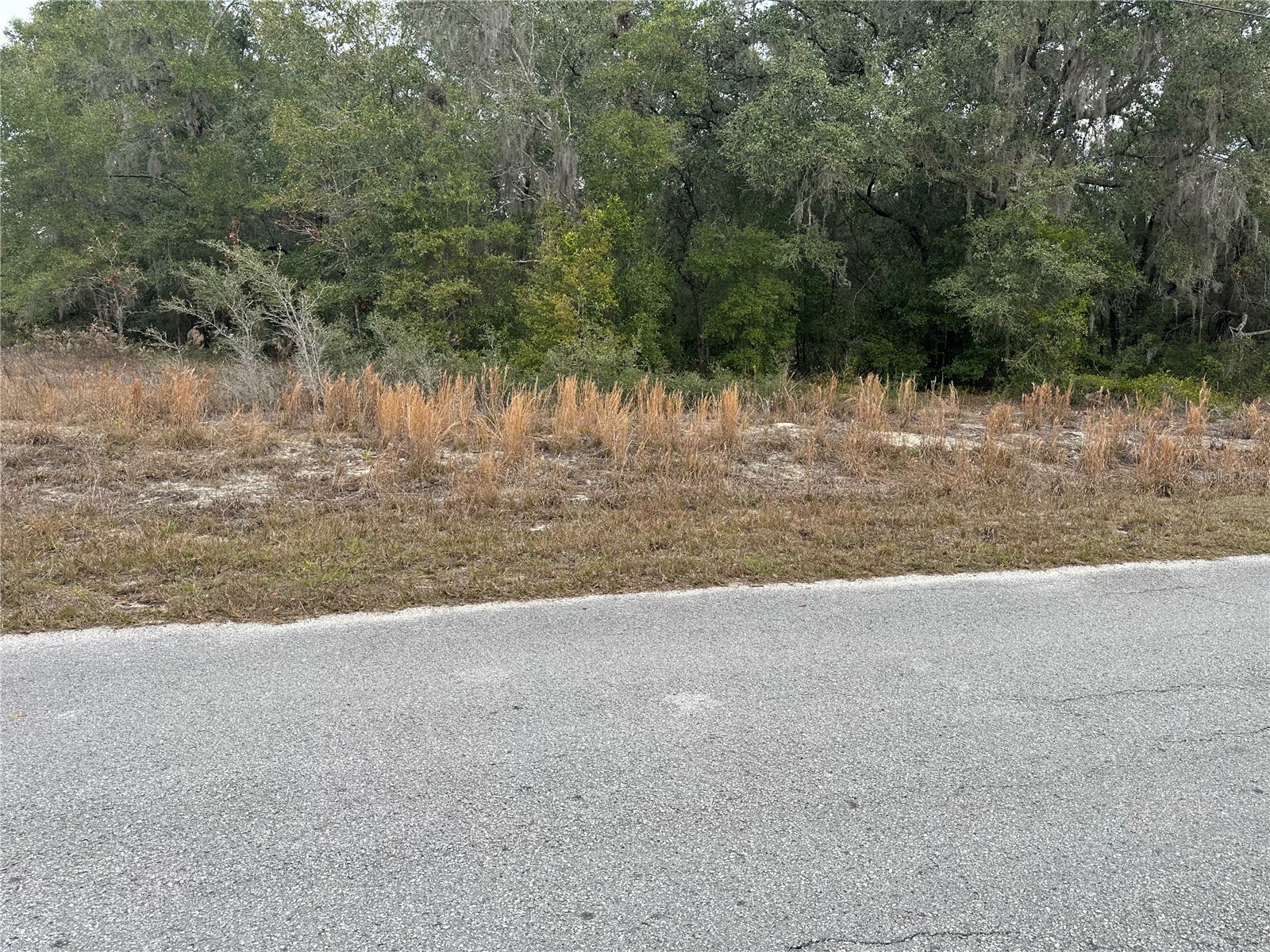 SW Shorewood Drive Dunnellon FL 34431 - TIGER LAKE BONABLE LAKE OM716856 image4