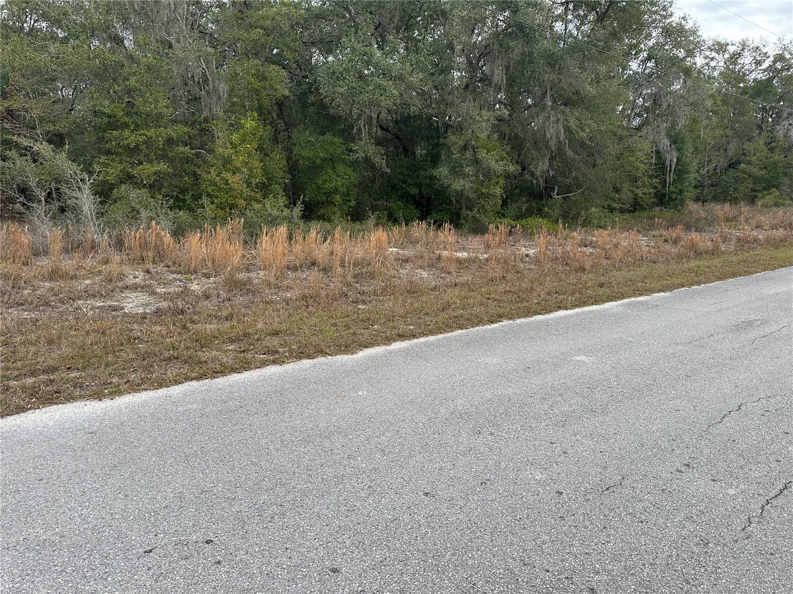 SW Shorewood Drive Dunnellon FL 34431 - TIGER LAKE BONABLE LAKE OM716856 image5
