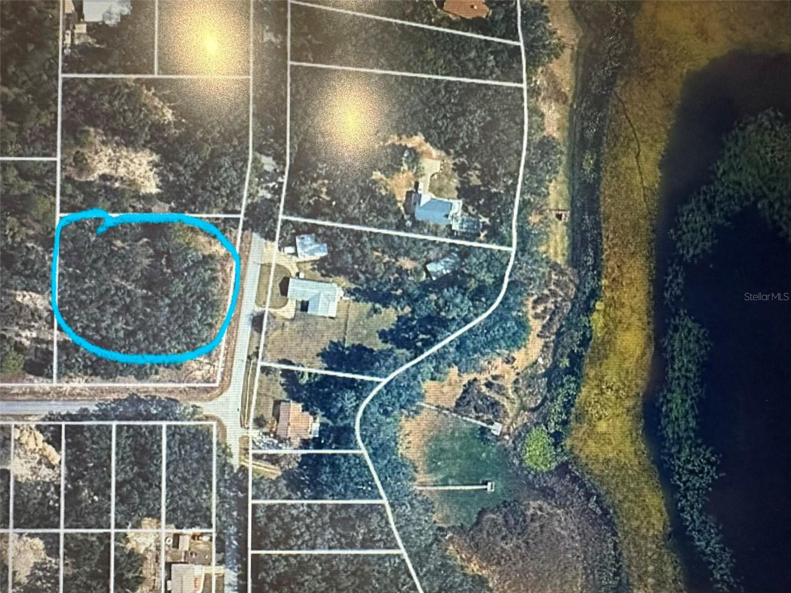 SW Shorewood Drive Dunnellon FL 34431 - TIGER LAKE BONABLE LAKE OM716856 image7