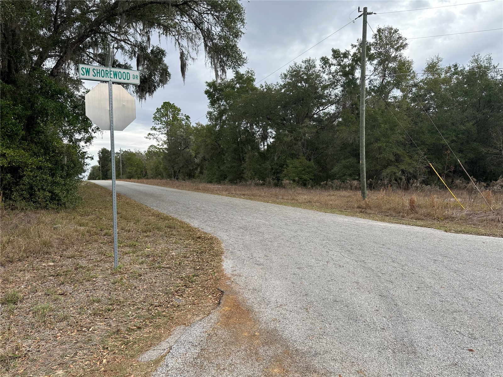 SW Shorewood Drive Dunnellon FL 34431 - TIGER LAKE BONABLE LAKE OM716856 image8