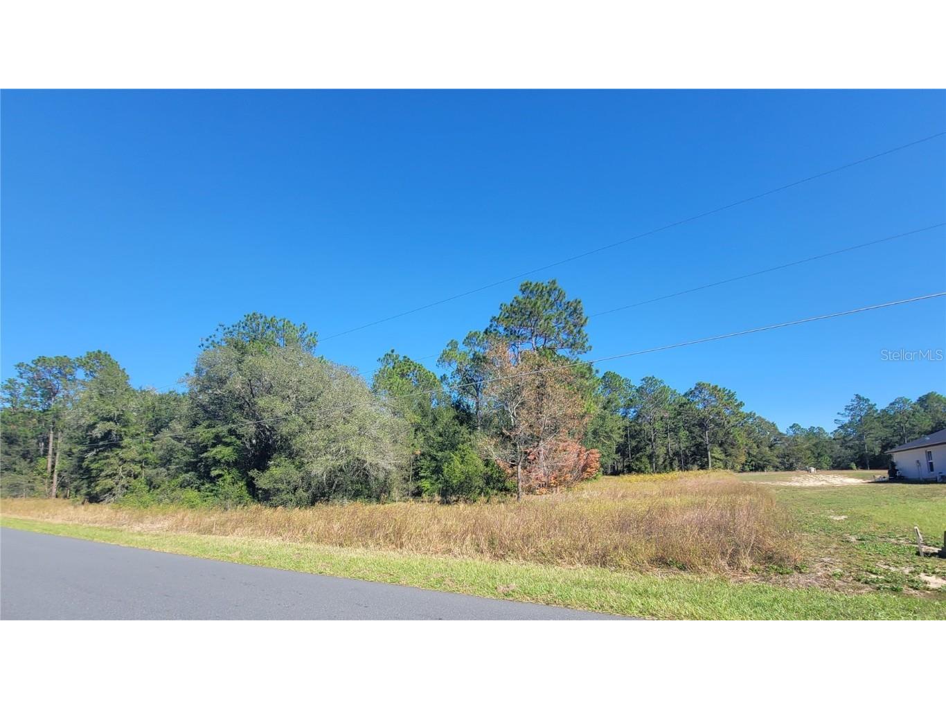 SW Soundview Drive Dunnellon FL 34431 OM712516 image2