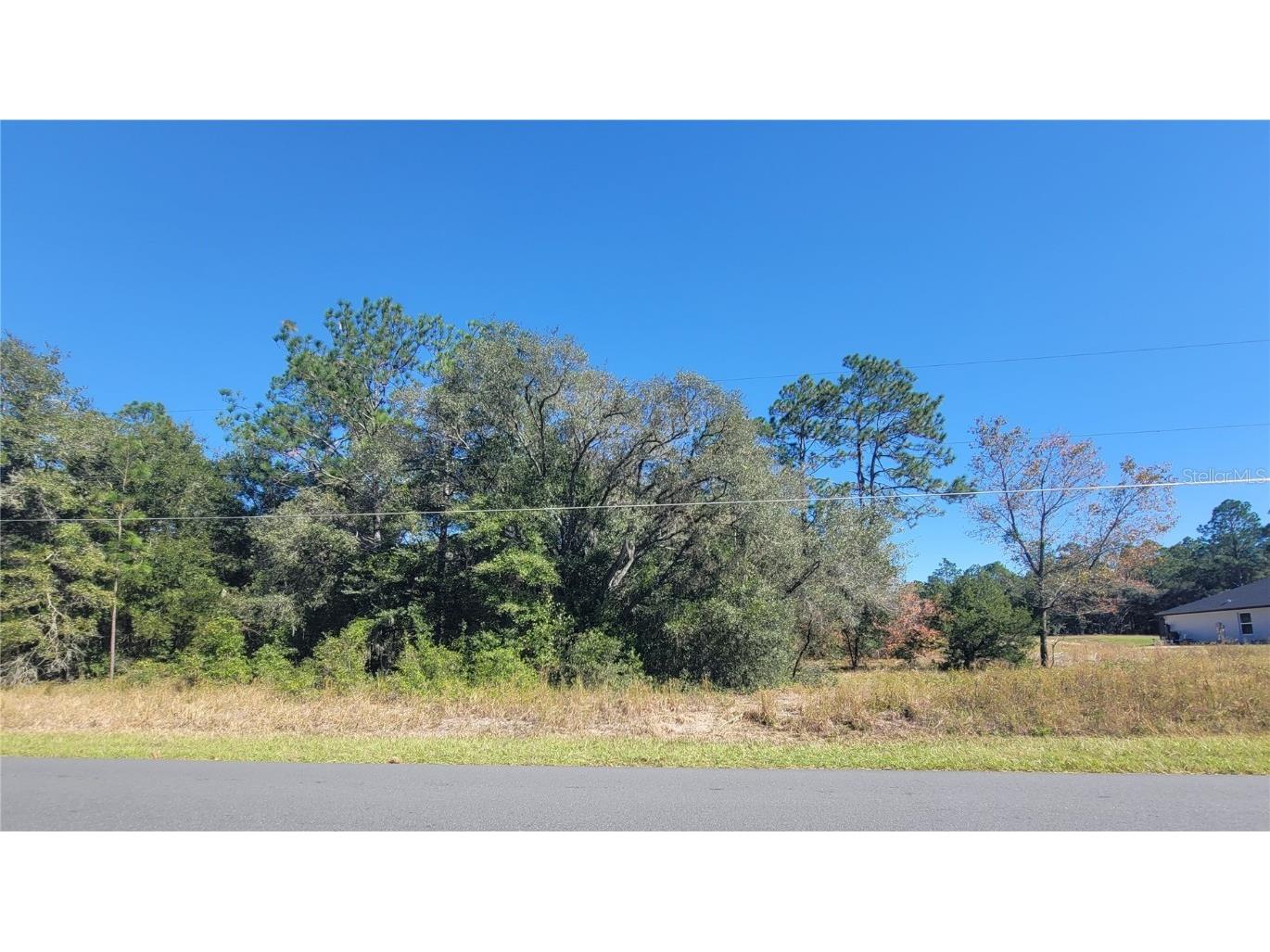 SW Soundview Drive Dunnellon FL 34431 OM712516 image3