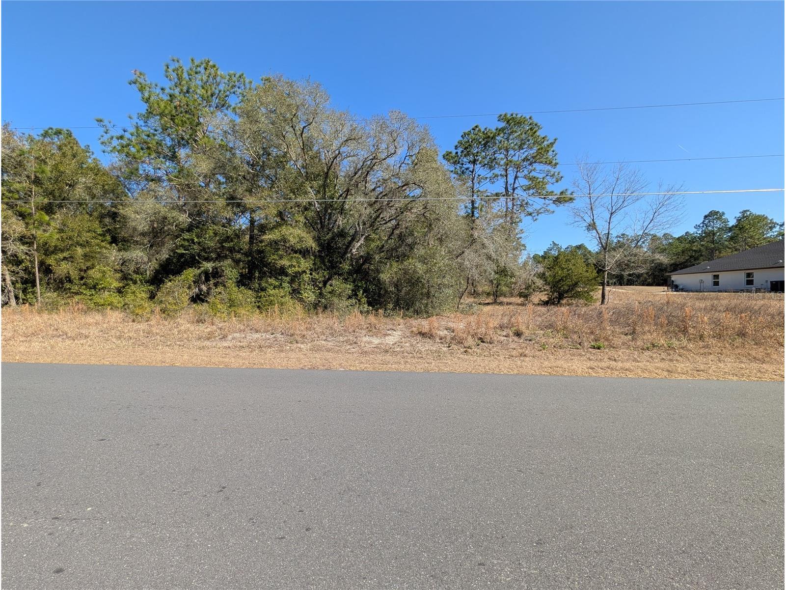 SW Soundview Drive Dunnellon FL 34431 TB8471023 image1