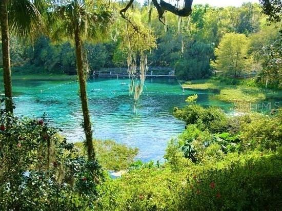 SW Soundview Drive Dunnellon FL 34431 TB8471023 image10