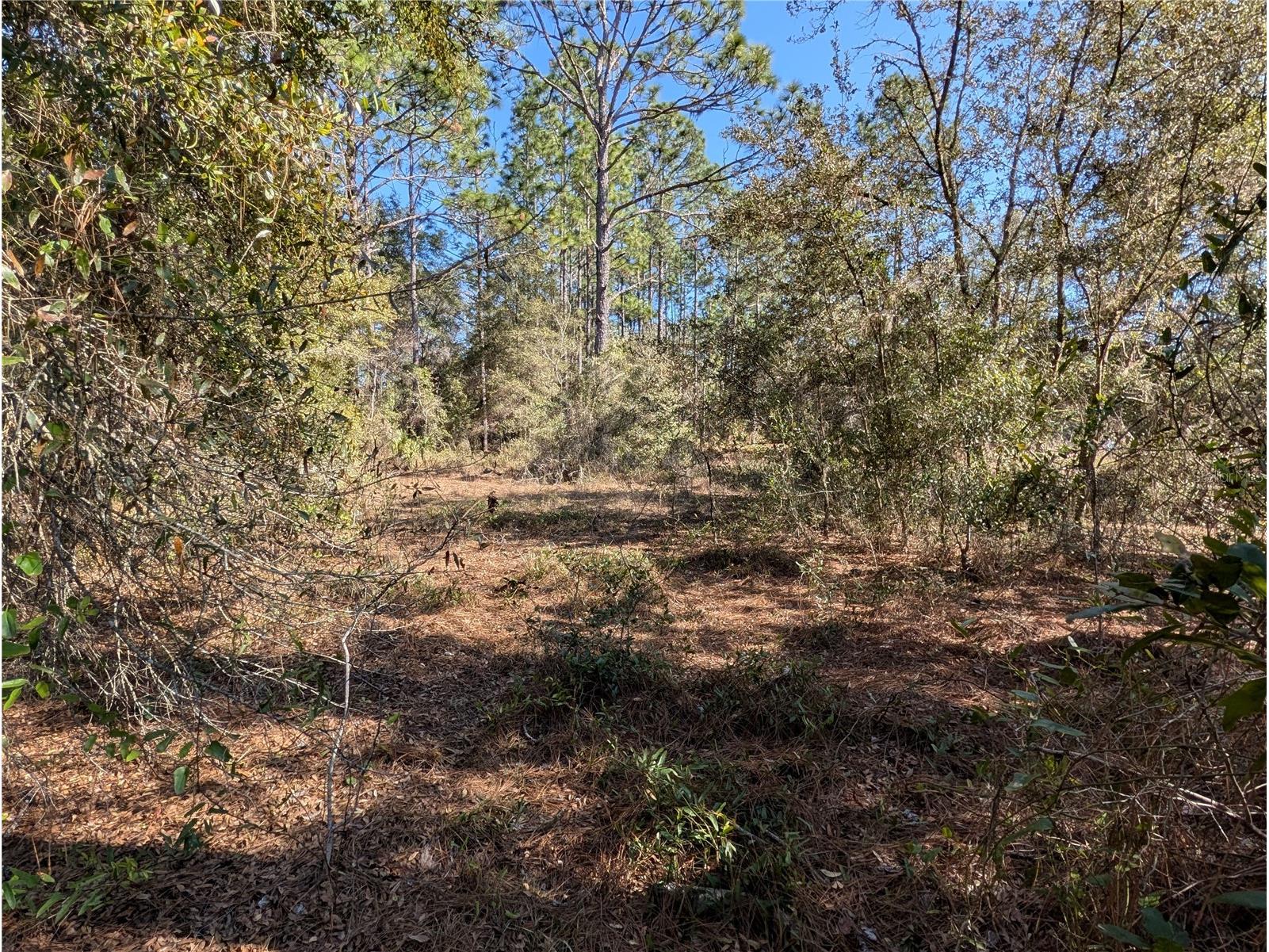 SW Soundview Drive Dunnellon FL 34431 TB8471023 image4