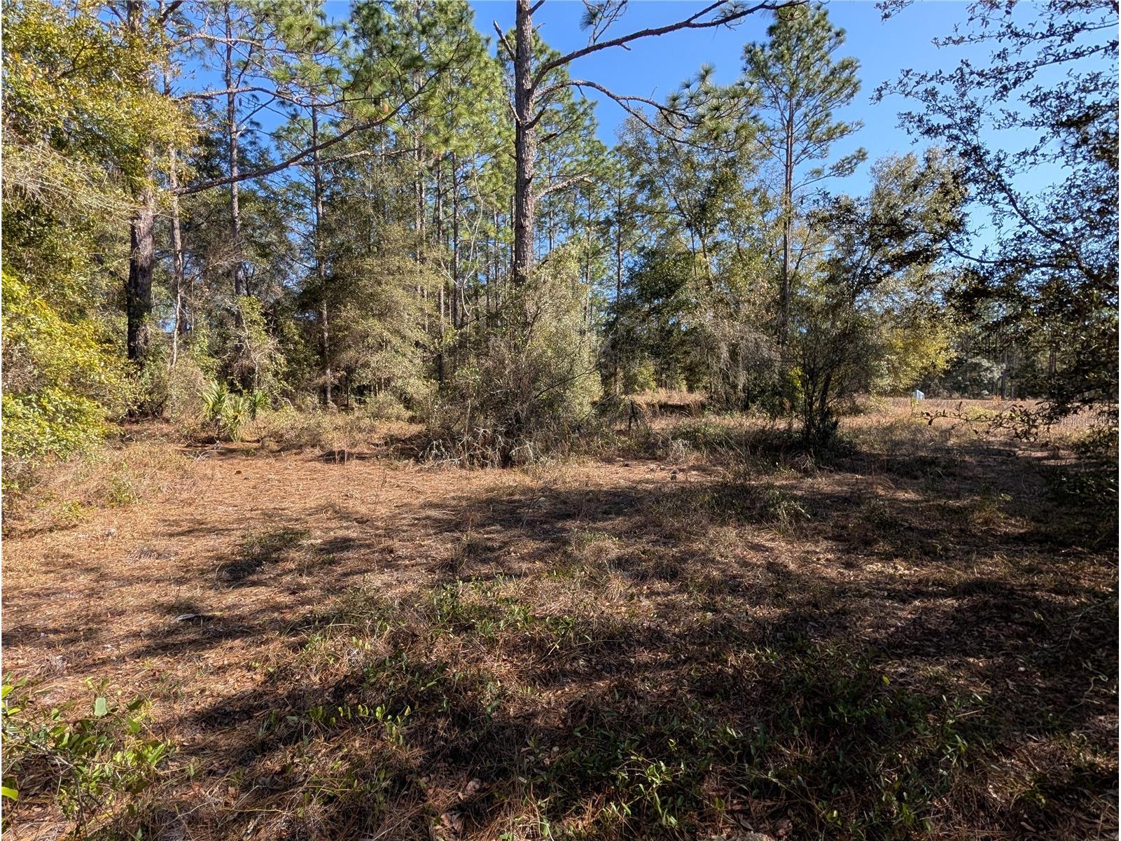 SW Soundview Drive Dunnellon FL 34431 TB8471023 image5