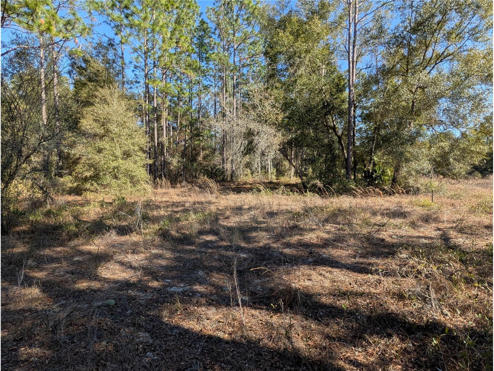 SW Soundview Drive Dunnellon FL 34431 TB8471023 image6
