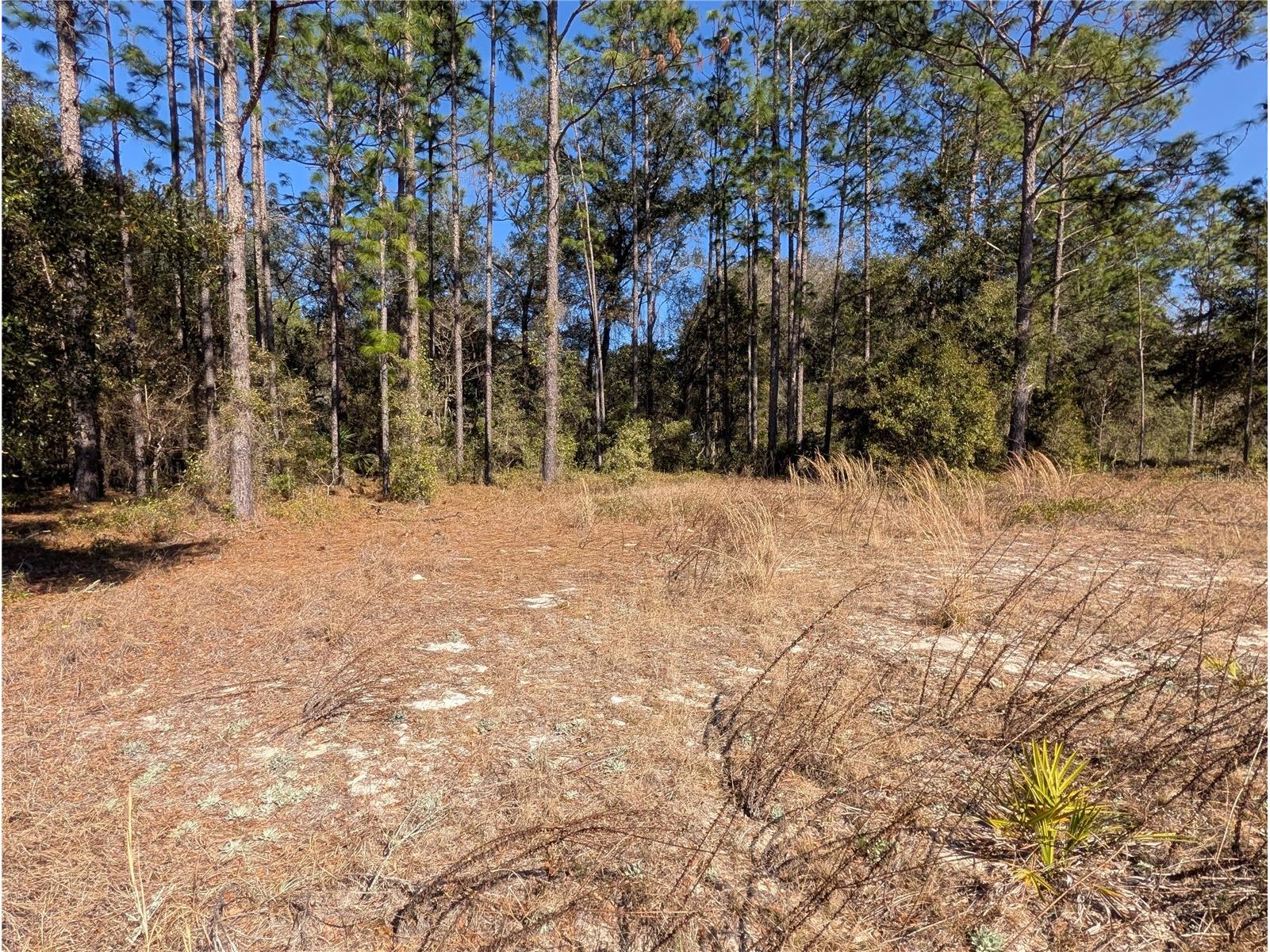 SW Soundview Drive Dunnellon FL 34431 TB8471023 image7
