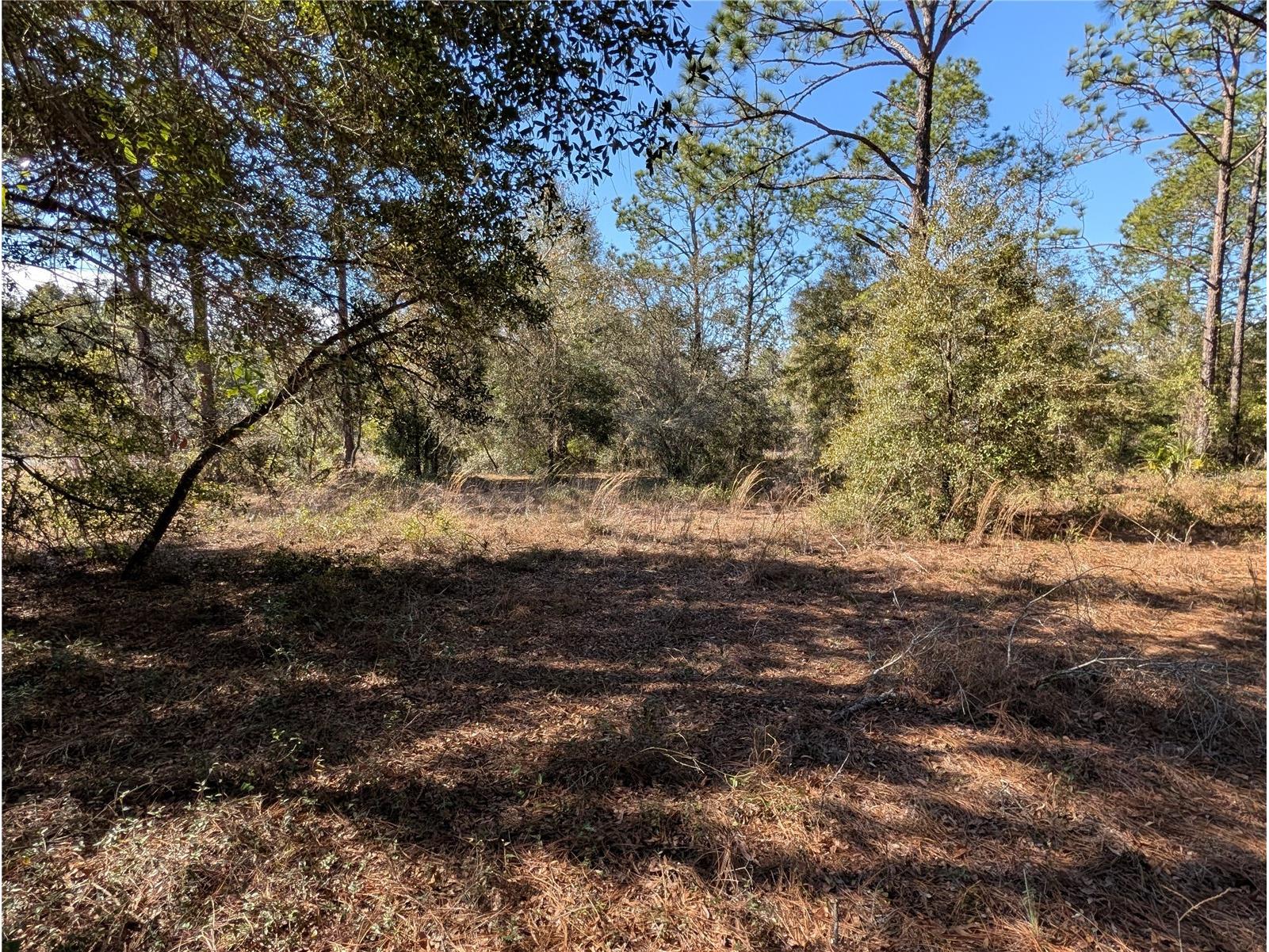 SW Soundview Drive Dunnellon FL 34431 TB8471023 image8