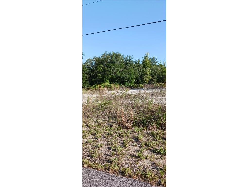 Sw South Lakes Court Dunnellon FL 34431 OM678945 image1