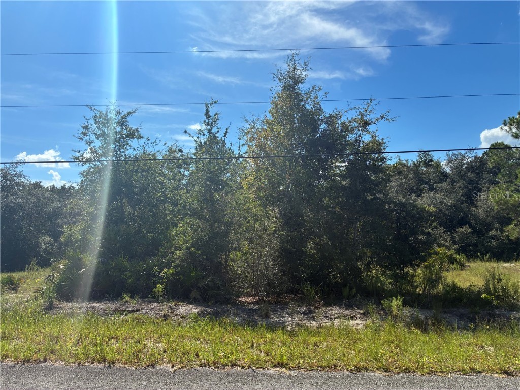 SW South Wind Court Dunnellon FL 34430 OM709010 image1