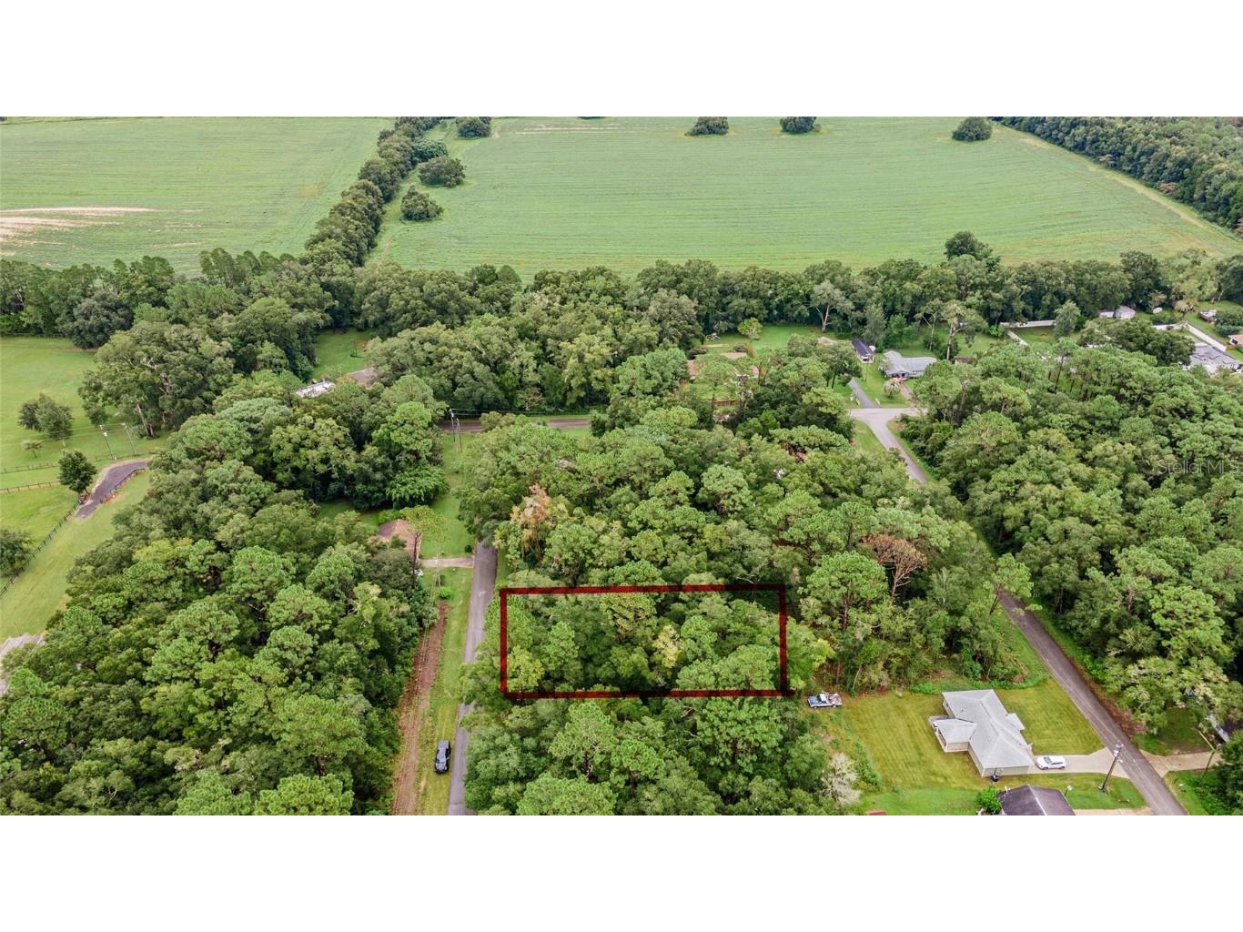 SW Starling Drive Dunnellon FL 34431 OM686103 image1