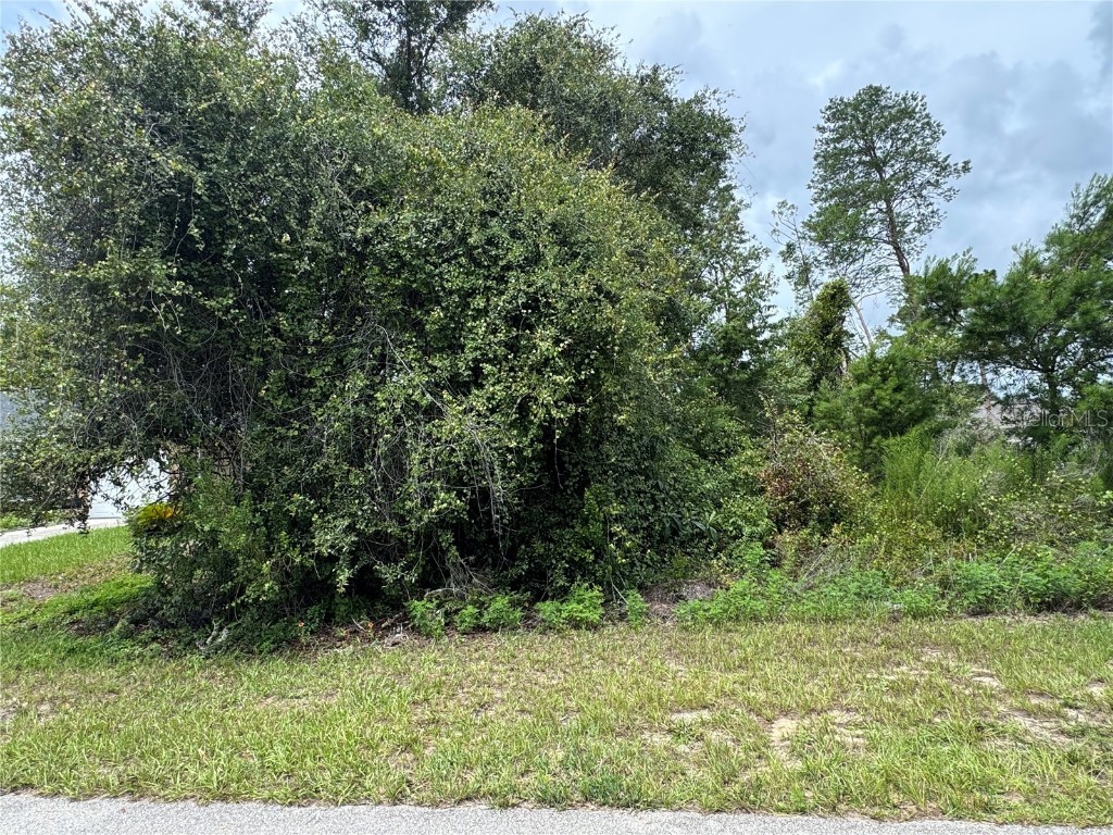 SW Tbd 146 Loop Ocala FL 34473 S5130156 image1