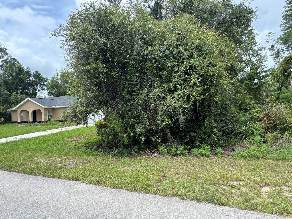 SW Tbd 146 Loop Ocala FL 34473 S5130156 image2