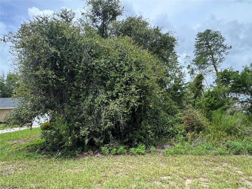 SW Tbd 146 Loop Ocala FL 34473 S5130156 image3