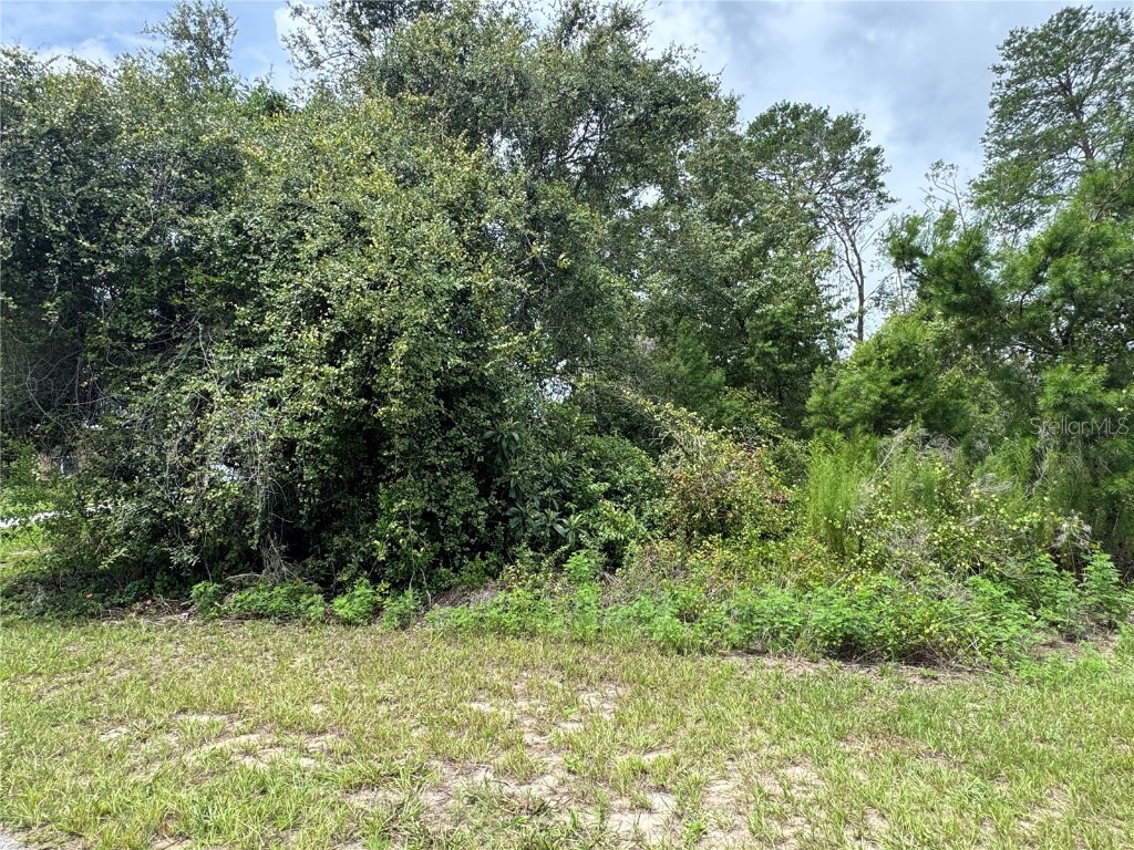 SW Tbd 146 Loop Ocala FL 34473 S5130156 image4