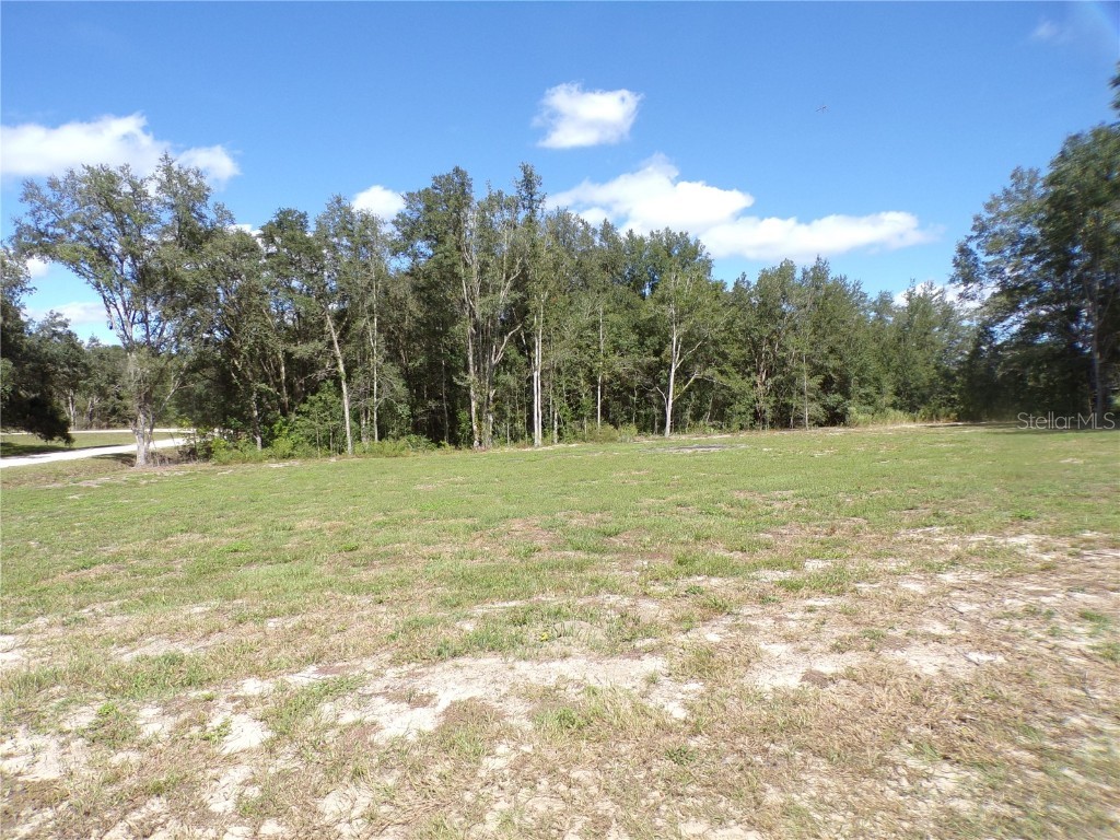 SW Tbd Sw 132 Ave Avenue SW Dunnellon FL 34432 OM666234 image1