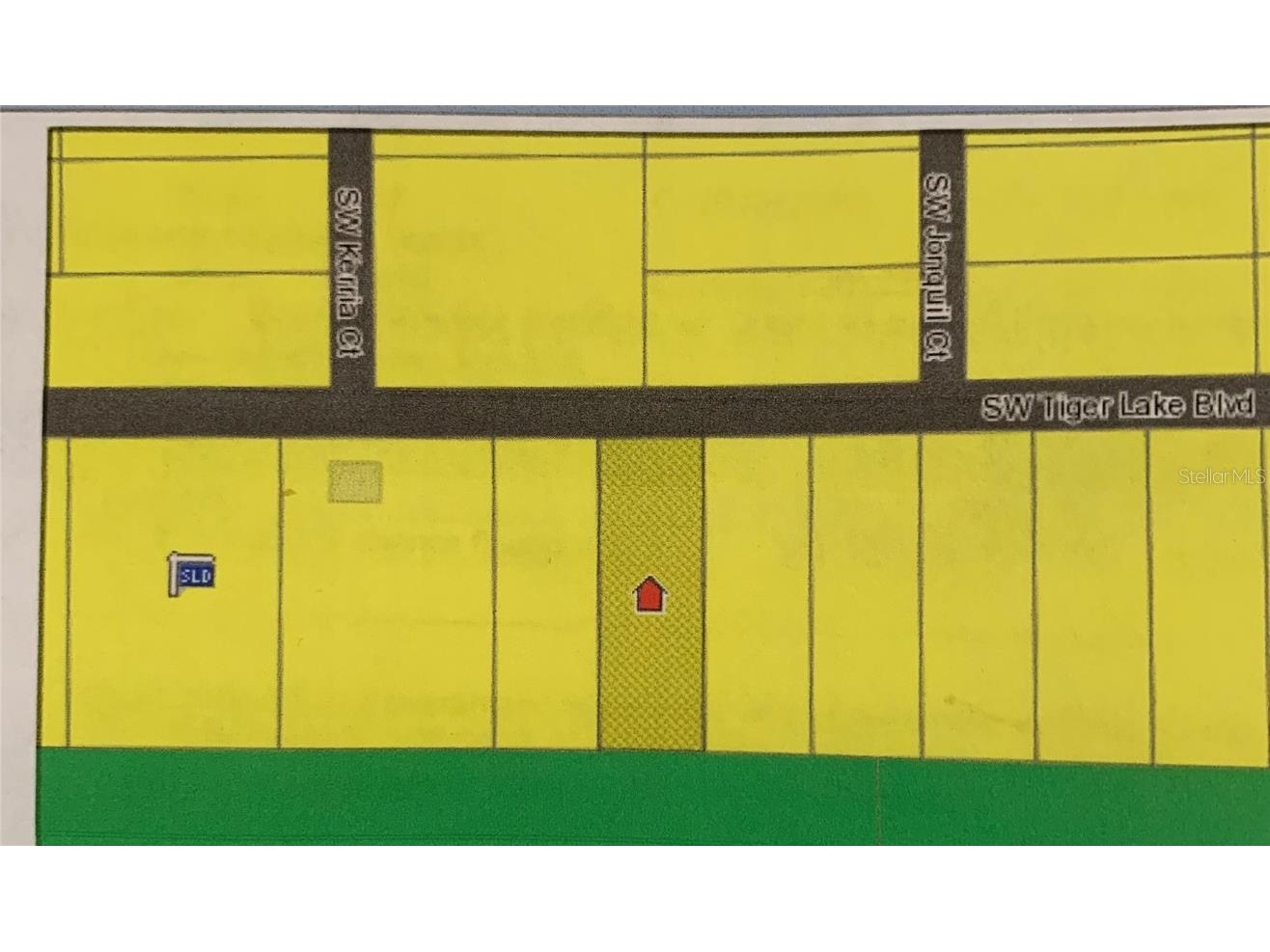 SW Tiger Lake Boulevard Dunnellon FL 34431 G5066133 image1