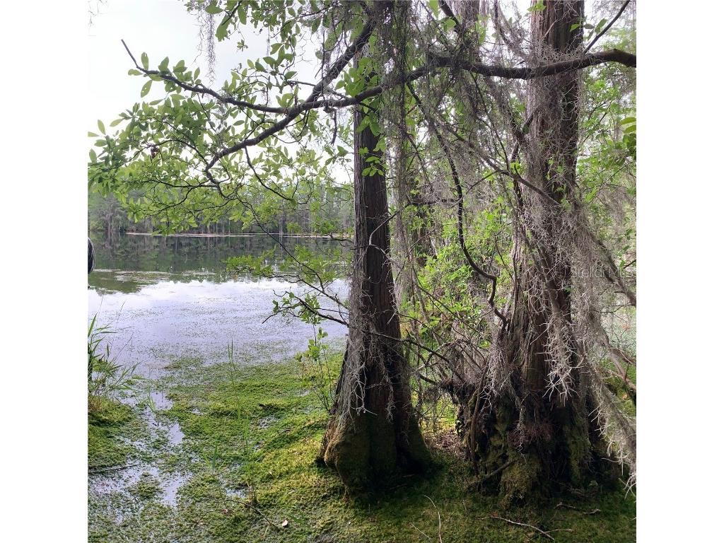 Sw Tower Road Lee FL 32059 TB8427513 image1