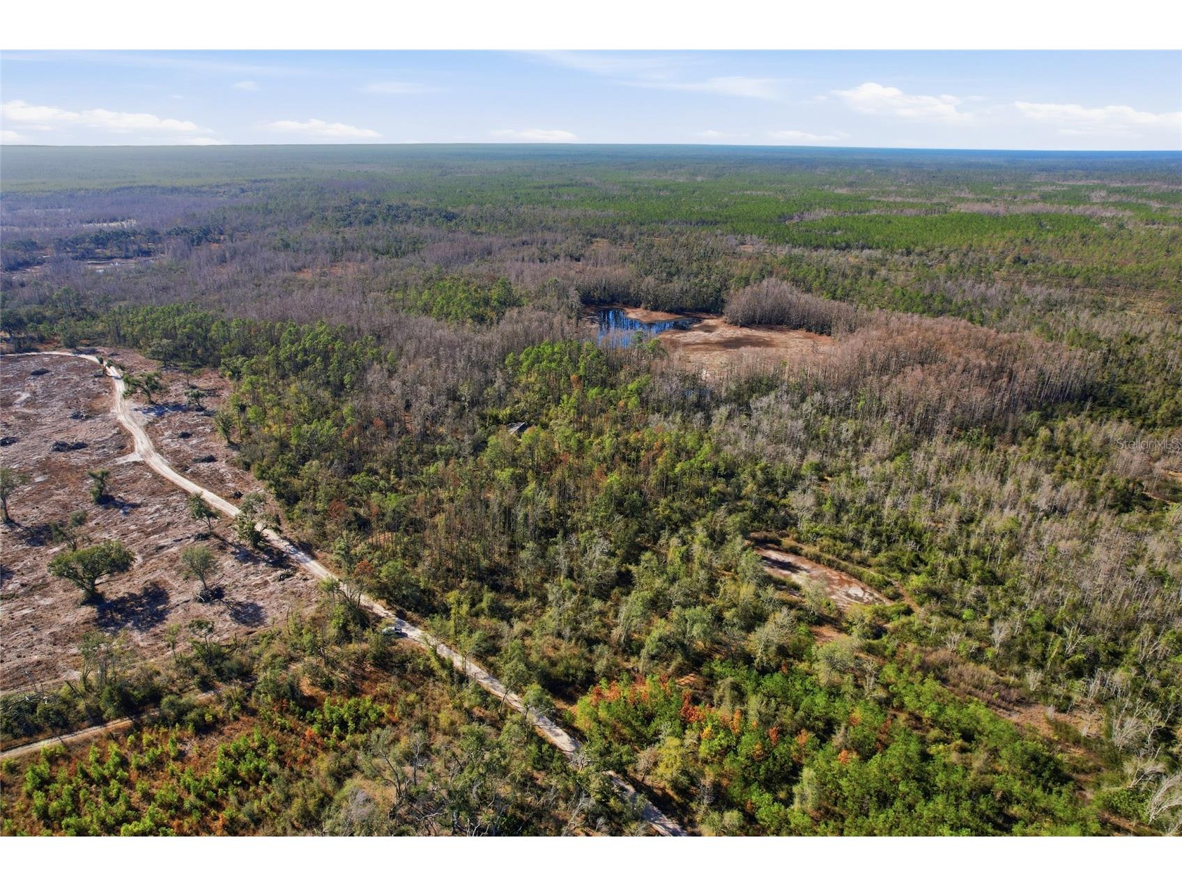 Sw Tower Road Lee FL 32059 TB8427513 image19