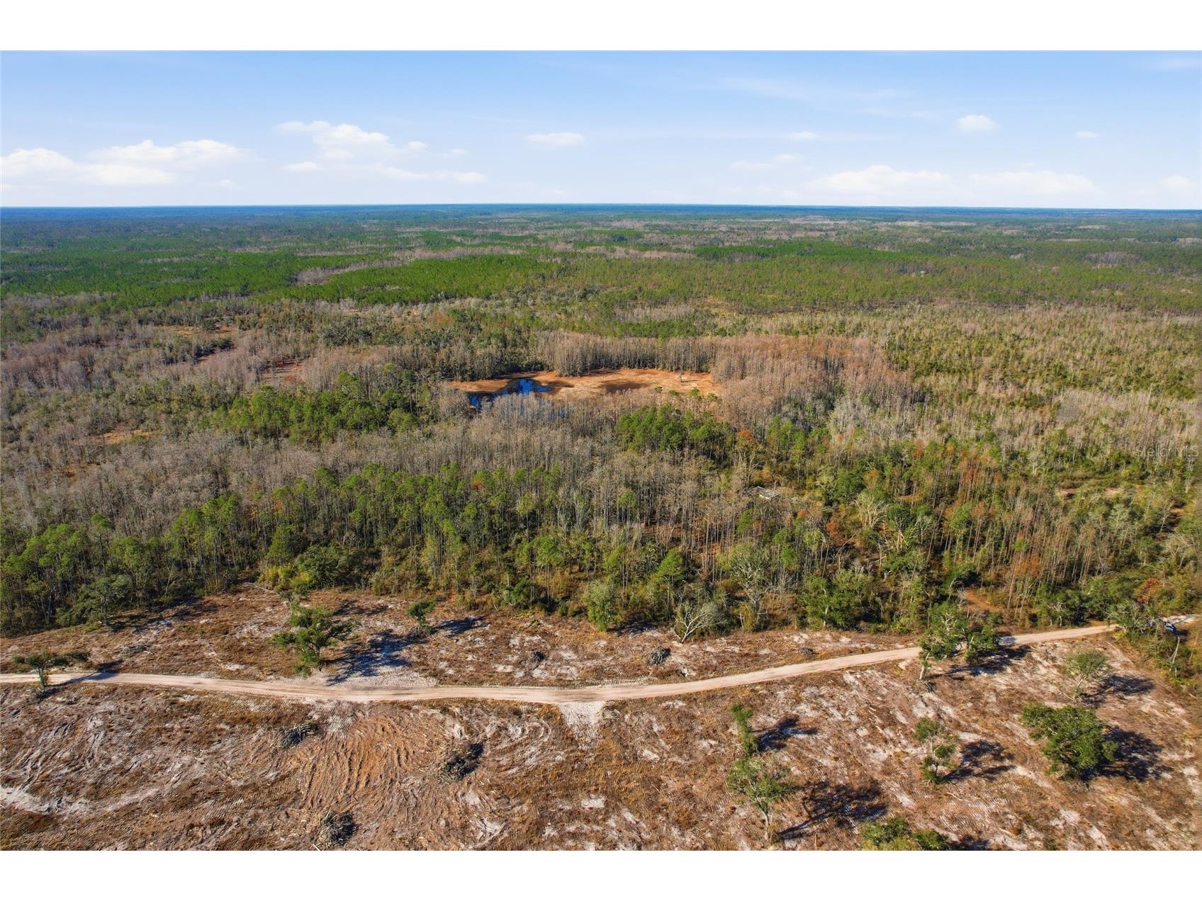 Sw Tower Road Lee FL 32059 TB8427513 image21