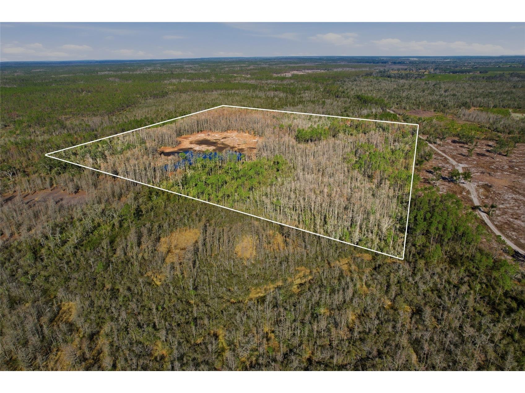 Sw Tower Road Lee FL 32059 TB8427513 image23